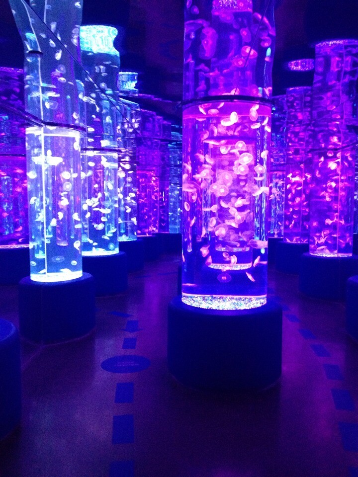 ���ښg������Ͷ�������